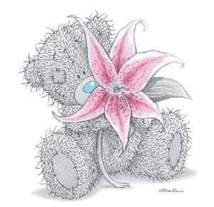 teddy nounours