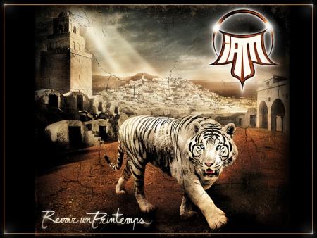 tigre
