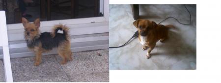 choupette et crystal