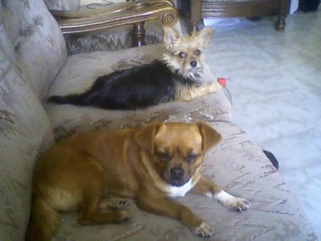 choupette et crystal