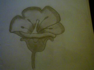 un autre dessin une fleur