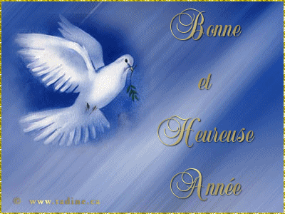 BONNE ET HEUREUSE ANNEE