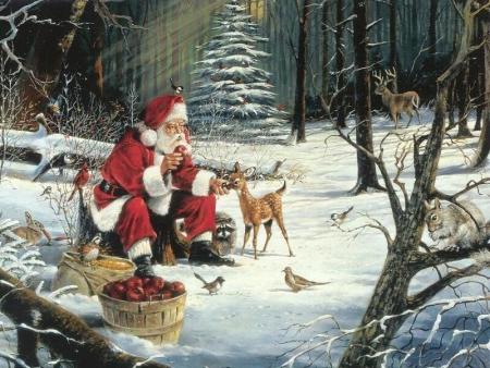 le père noël dans les bois